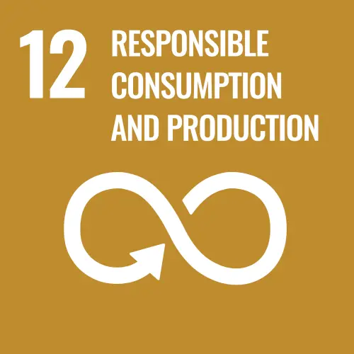SDG 12 - Responsible consumption and production SDG 12 - Responsible consumption and production